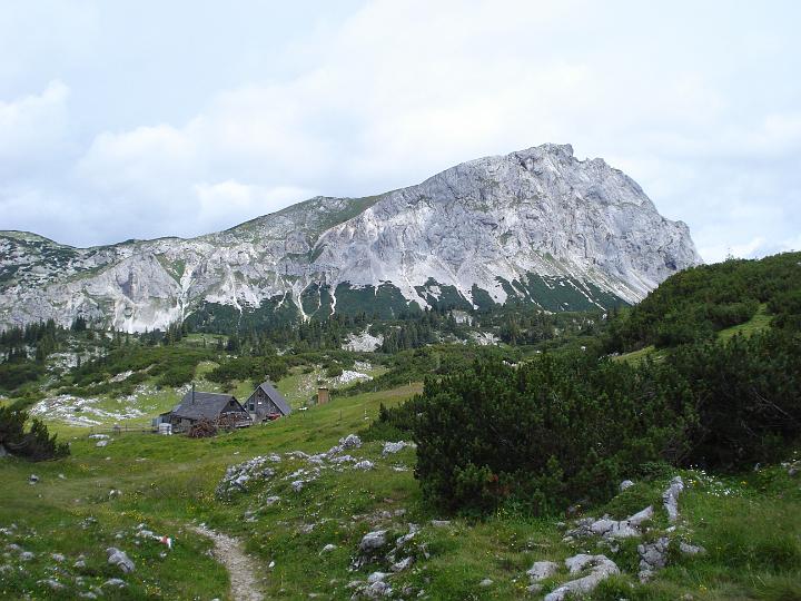 39 Pfaffingalm mit Brandstein.JPG